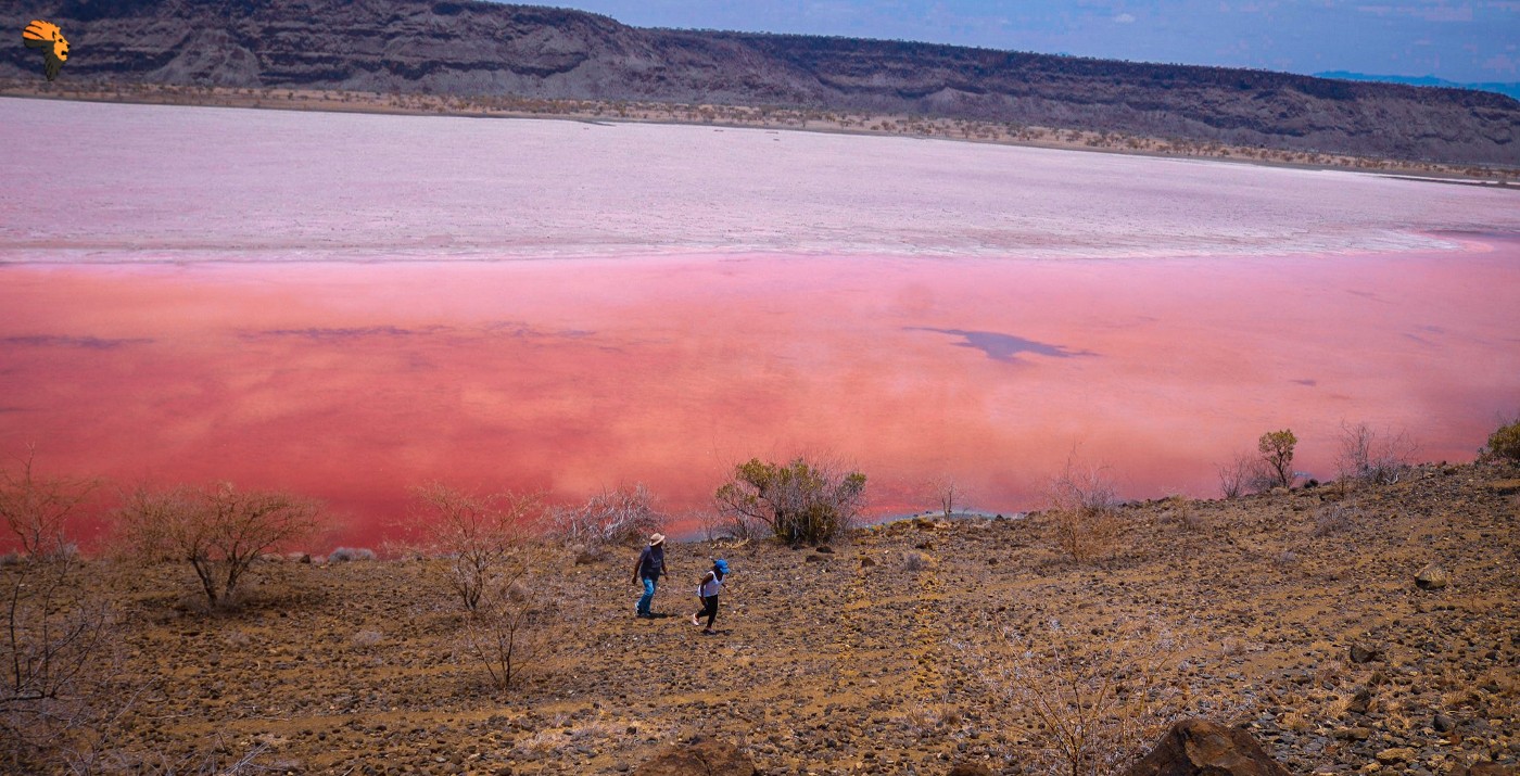 Lake Natron African