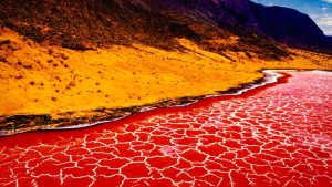 LAKE NATRON
